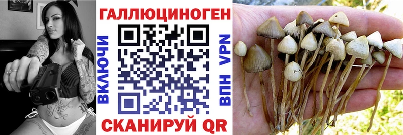 Псилоцибиновые грибы Psilocybine cubensis Купить закладки Сысерть